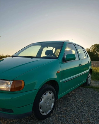 Volkswagen Polo cena 3699 przebieg: 172652, rok produkcji 1996 z Parczew małe 92